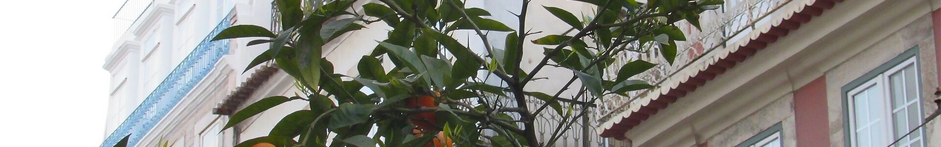 HOME_FOTO_2